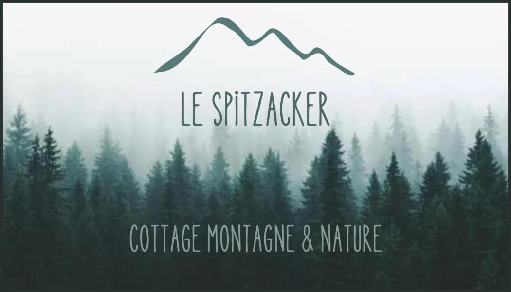 Le Spitzacker Gite Familial Au Calme Husseren-Wesserling Экстерьер фото